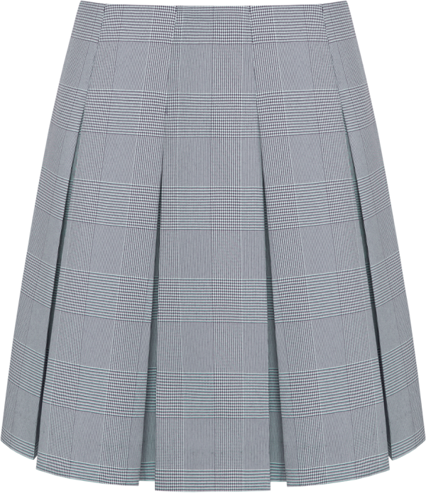 Drop Waist Box Pleat Skirt For Sale