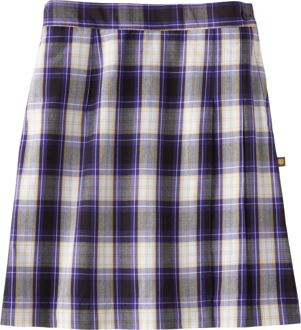 Side Pleat Skort Online now