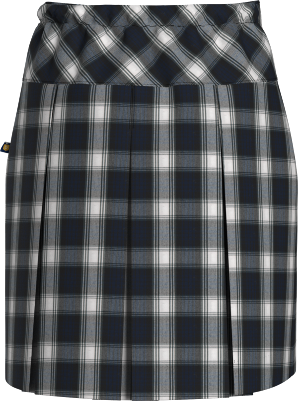 Drop Yoke Pleated Skirt Hot on Sale