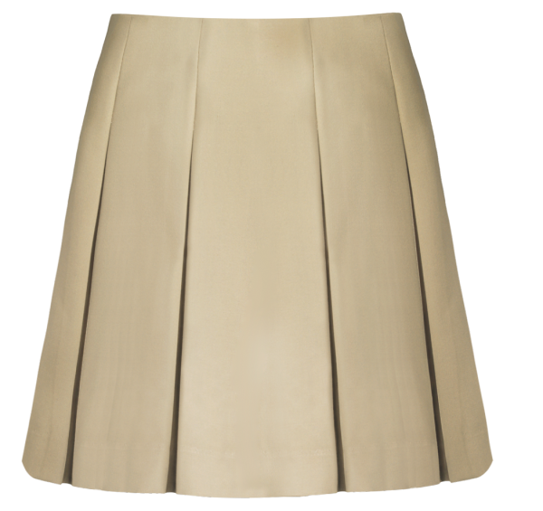 Drop Waist Box Pleat Skirt For Sale