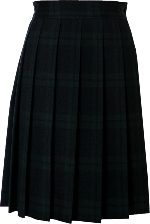 Knife Pleat Skirt Cheap