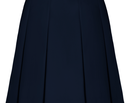 Drop Waist Box Pleat Skirt For Discount