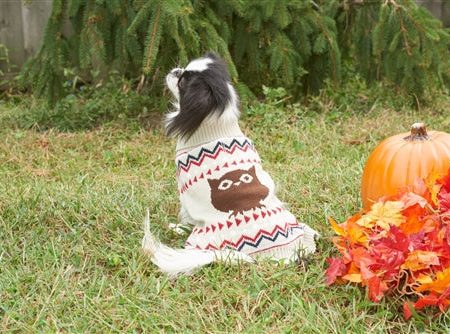 Fashion Pet Owl Sweater Cream Medium Cheap