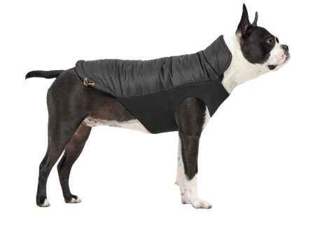 Goo-Eez Mock Neck Signature Dog Jacket Black XLarge Sale