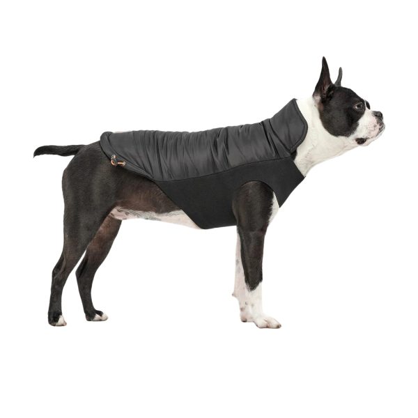 Goo-Eez Mock Neck Signature Dog Jacket Black XLarge Sale