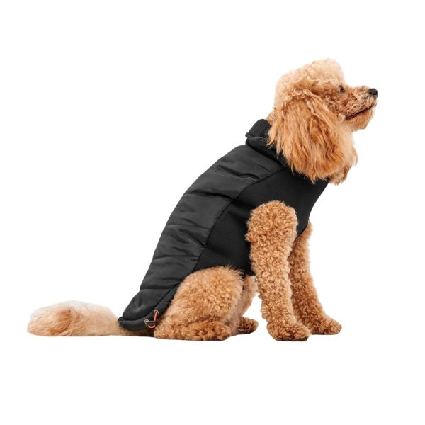 Goo-Eez Mock Neck Signature Dog Jacket Black Small For Discount