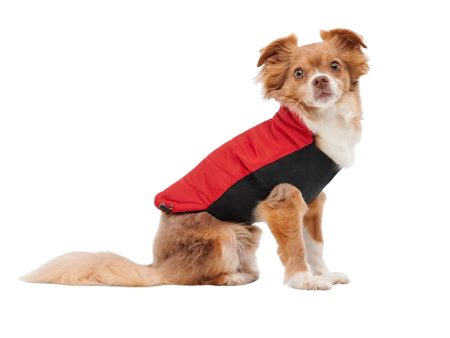 Goo-Eez Mock Neck Signature Dog Jacket Red Black XSmall For Discount