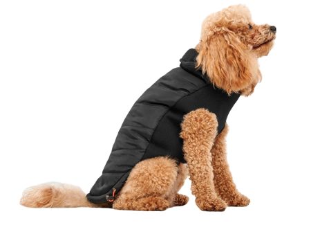 Goo-Eez Mock Neck Signature Dog Jacket Black XSmall Fashion