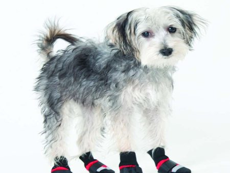 Fashion Pet Extreme All Weather Boots Red Black 1ea XXxs For Discount