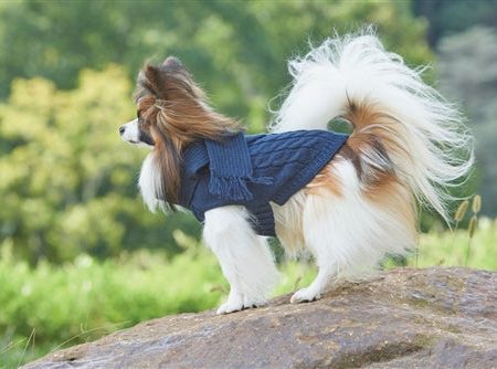 Fashion Pet Scarf Sweater Blue Small Online Sale