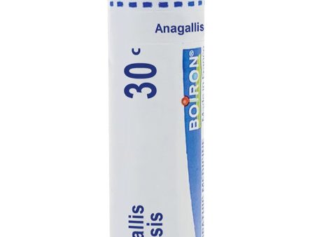 Boiron, Anagallis Arvensis 30C, 80 Pellets Online