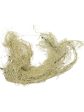 Starwest Botanicals, Usnea Lichen Whole Wildcrafted, 4 oz Online Sale