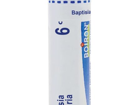 Boiron, Baptisia Tinctoria 6C, 80 Pellets Sale