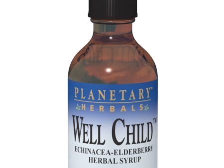 Planetary Herbals, Well Child Echinacea Elderberry Herbal Syrup, 8 oz Discount