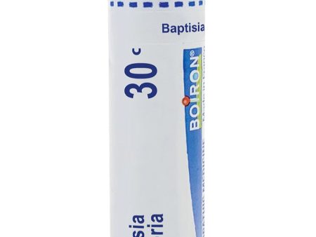 Boiron, Baptisia Tinctoria 30C, 80 Pellets Hot on Sale