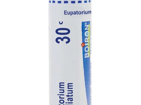 Boiron, Eupatorium Perfoliatum 30C, 80 Pellets Supply