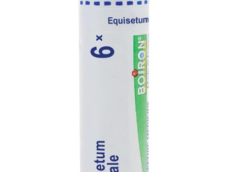 Boiron, Equisetum Hyemale 6X, 80 Pellets Online Hot Sale