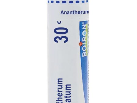 Boiron, Anatherum Muricatum 30C, 80 Pellets on Sale