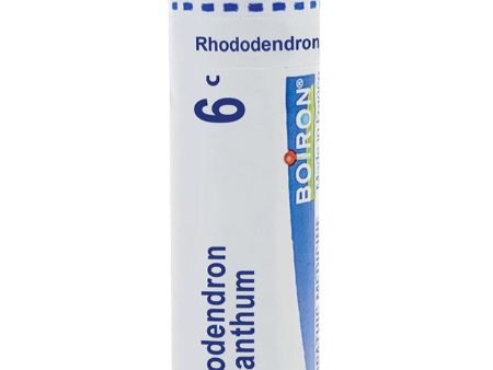 Boiron, Rhododendron Chrysanthum 6C, 80 Pellets For Sale