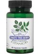 Vitanica, Chaste Tree Berry, 60 Vegetarian Capsules Cheap