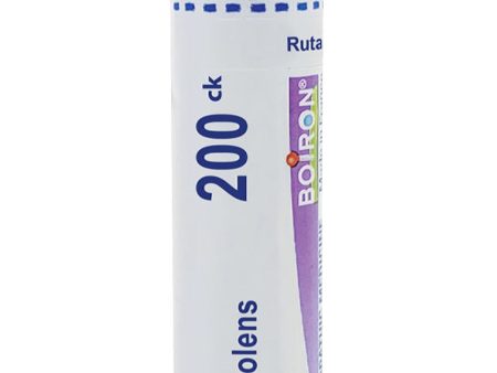 Boiron, Ruta Graveolens 200CK, 80 Pellets Online