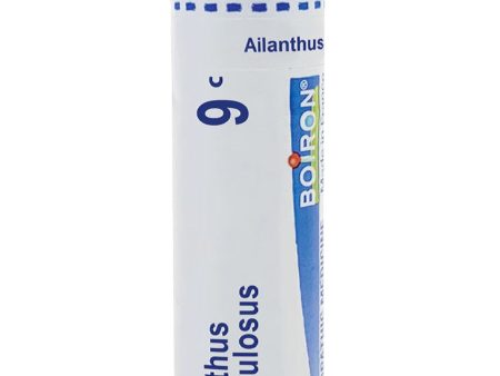 Boiron, Ailanthus Glandulosus 9C, 80 Pellets Online Sale