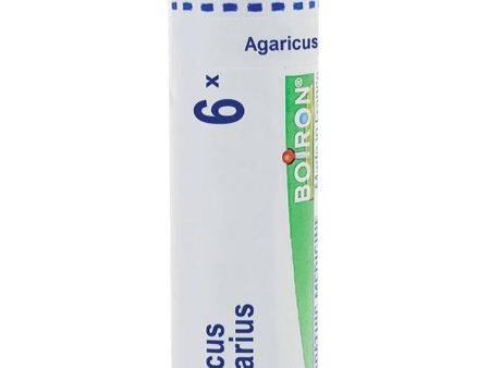 Boiron, Agaricus Muscarius 6X, 80 Pellets Hot on Sale