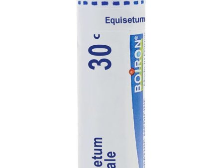 Boiron, Equisetum Hyemale 30C, 80 Pellets on Sale