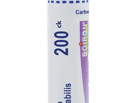 Boiron, Carbo Vegetabilis 200CK, 80 Pellets Online now